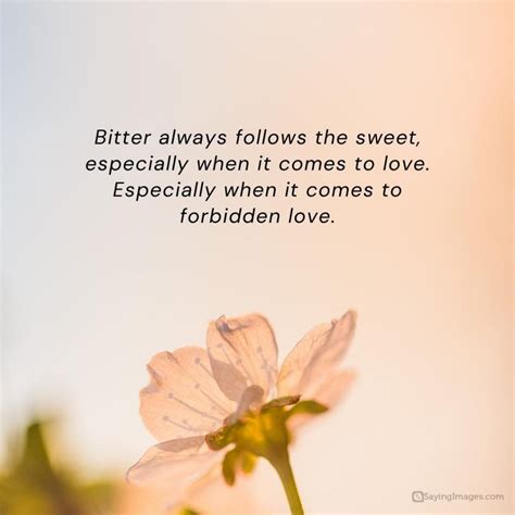 love quotes for forbidden love
